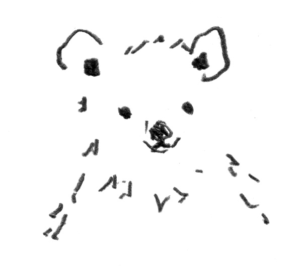 kuma.jpg
